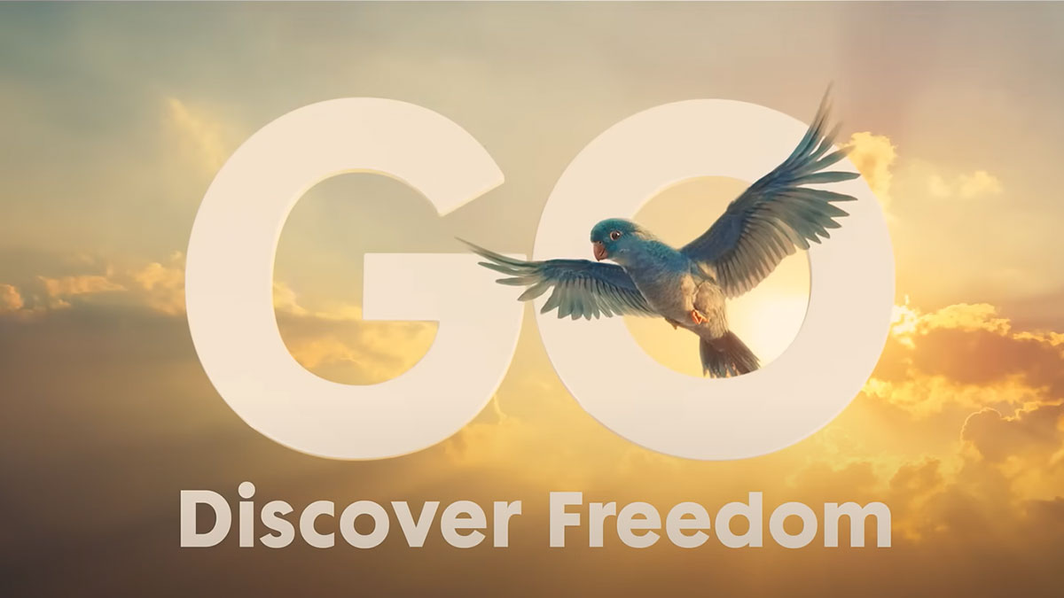 GO Outdoors Discover Freedom - Be more Billy